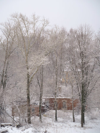 Winter landscape with trees and houses in the snow, Russiaの写真素材