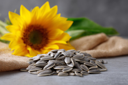 Sunflower and sunflower seeds on a rustic table settingの素材