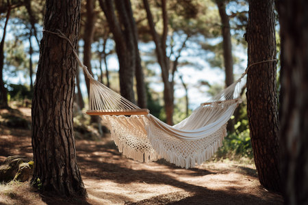 Relaxing hammock set between trees in a serene forest settingの素材