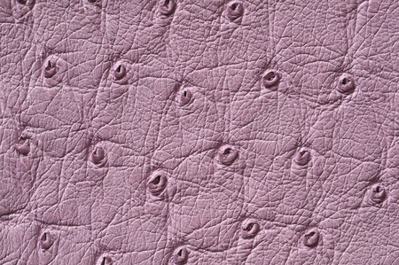 Closeup of seamless lilac leather texture for backgroundの写真素材
