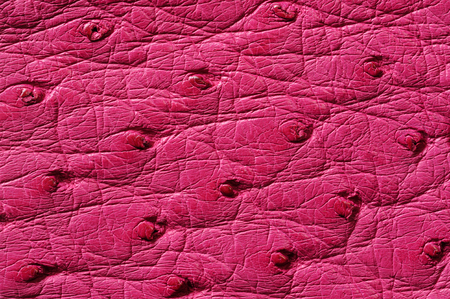 Closeup of seamless pink leather texture for backgroundの写真素材