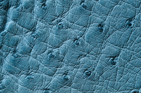 Closeup of seamless blue leather texture for backgroundの写真素材