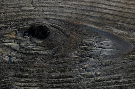 Abstract background of burnt wooden board. Closeup topview for artworks. High quality photoの写真素材