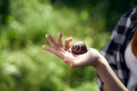 Snail on hand, grass, garden, summer, season, light.の写真素材