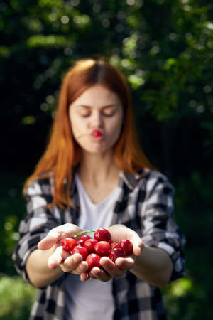 Cherry, berries, woman eating cherry, summer residence, summer, season, woman with berry.の写真素材