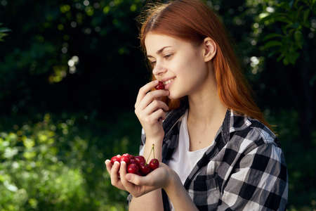 Cherry, berry, sweet, tasty, woman in the garden, summer, season.の写真素材