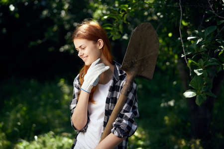 Woman working in the garden, shovel, gardener, summer.の写真素材