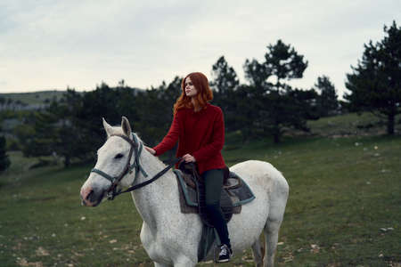 Young beautiful woman riding a horse, animals, nature.