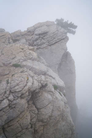 Precipice, mountains, nature, fog, stones, tree, beauty.の写真素材