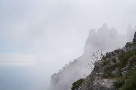 Cliff, mountains, rock, beauty, nature, fog, sky.