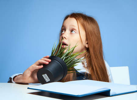 Little girl at a desk, student, school, schoolgirl, child.