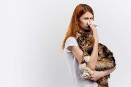 Beautiful young woman on a light background holds a cat.の写真素材