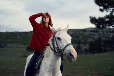 Beautiful young woman riding a horse on a white horse in the mountains, nature.の写真素材