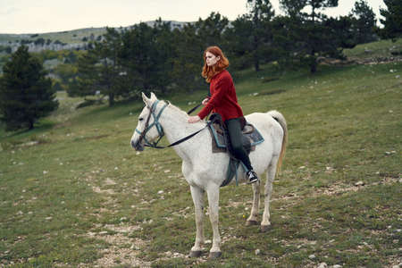 Beautiful young woman in a red sweater rides a white horse in the mountains.の写真素材