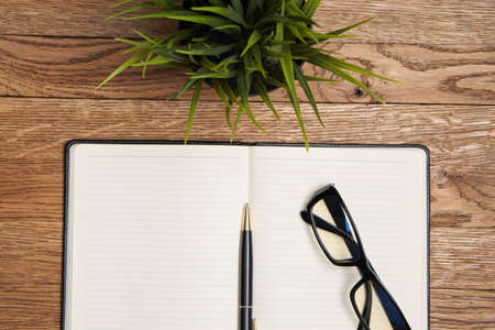 tree, plant, notebook, pen, glasses.の写真素材