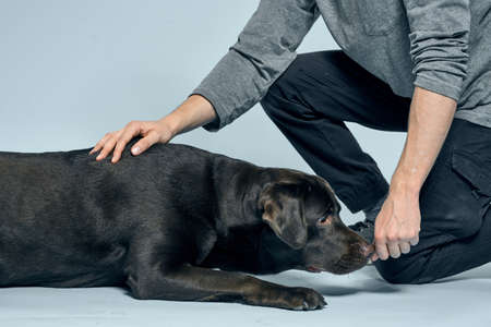 The man trains the dog indoors and gestures with his hands to execute the models commands