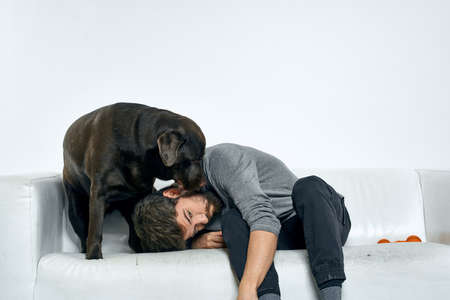 Male owner play with the dog on the couch training fun light room friends pet