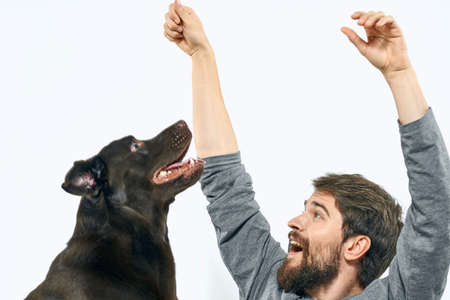 the owner plays with the dog on a white sofa In a bright room fun close-up cropped view friends pet