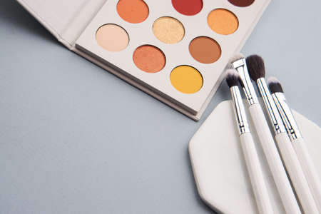 Palette with shadows and professional brushes on a stand on a gray backgroundの写真素材
