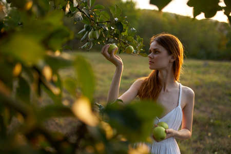 woman near the apple tree in a white dress outdoors in the gardenの写真素材