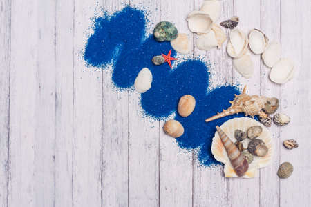 seashells decoration blue sand wooden background scenery ocean