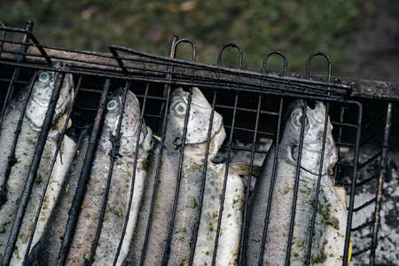 dried fish grilled on the grill outdoors Picnic close-upの写真素材