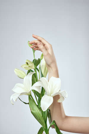 A bouquet of white flowers and female hands on a light background cropped view close-upの写真素材