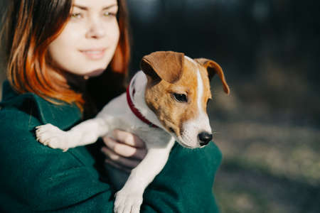 woman outdoors with dog in hands walk leisureの写真素材