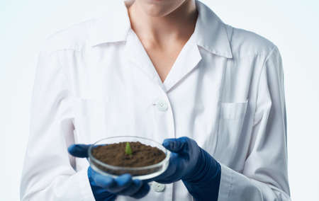 ecology woman agronomist flora soil and flower in a potの写真素材