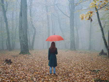 Woman with red umbrella in autumn fog yellow leaves fresh airの写真素材