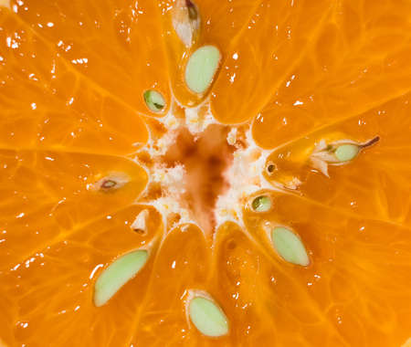 bright tangerine cut seed middle citrus fruit