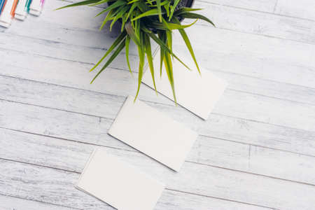 business cards flower in a pot on a wooden table, stationery in the office