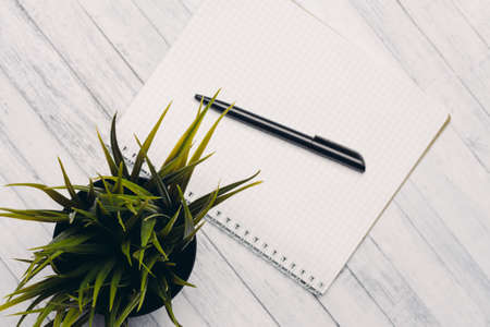 notepad with pen flower potted wooden table office top viewの写真素材