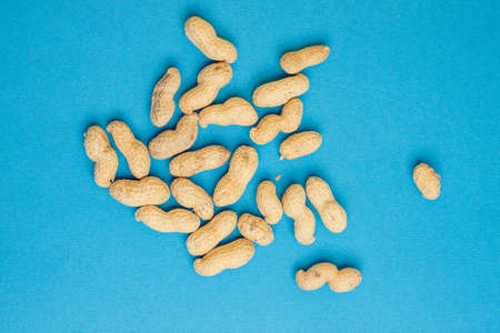peanuts in shell blue background close-up top viewの写真素材