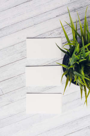 business card holders in the office blank glasses flower in a pot top view office