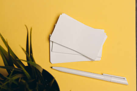 white business cards and ballpoint pen on yellow background flower in a potの写真素材