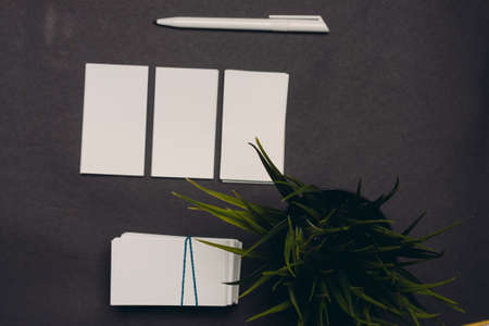 three business cards on a dark background ballpoint pen flower in a pot and a cup of coffee
