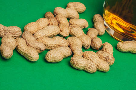 peanuts in shells mug beer green background barの写真素材