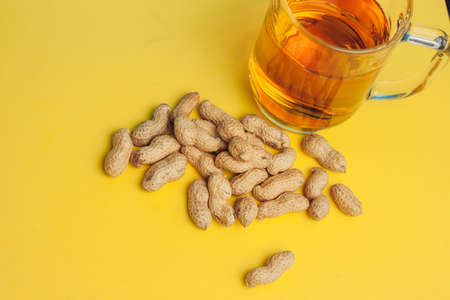 beer mug peanuts in shell yellow background bar alcoholの写真素材