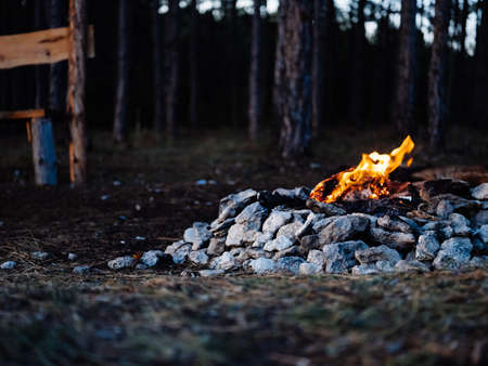 kindled fire in nature in the forest and trees In the backgroundの写真素材