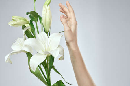 A bouquet of white flowers and female hands on a light background cropped view close-upの写真素材