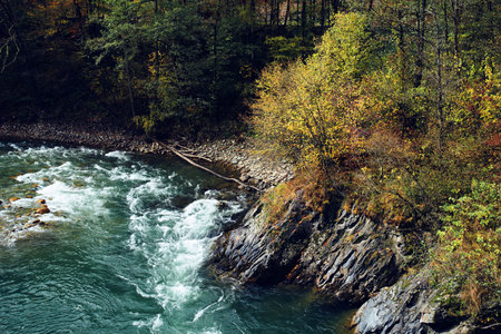mountains in the forest autumn river landscape nature fresh airの写真素材