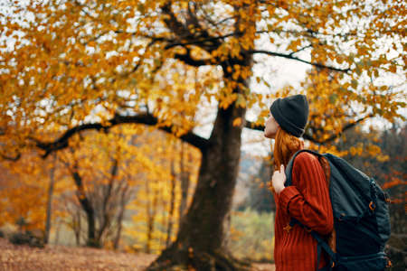 woman in a sweater walks in the park in autumn nature landscape fresh air Model backpackの写真素材