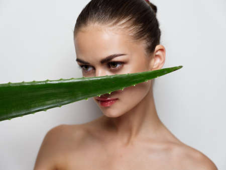 portrait of pretty woman near green aloe leaf clean skin cosmetology naked shouldersの写真素材