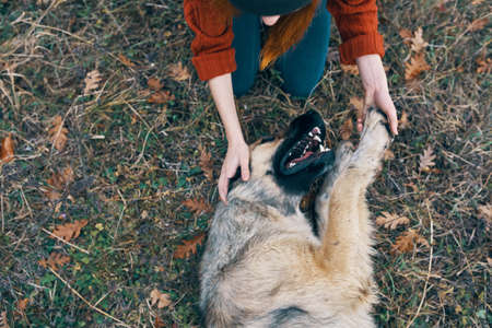 woman outdoors playing with dog friendship fresh air