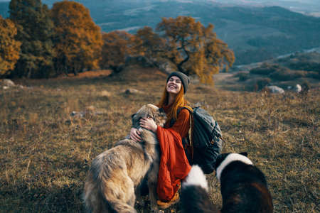 cheerful woman playing with dog outdoors mountains travel vacationの写真素材