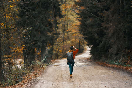woman travels in autumn forest on the road landscape tall trees backpack modelの写真素材