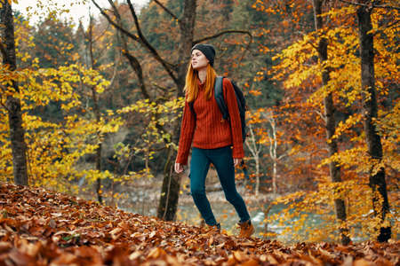 happy woman hiker with a backpack on her back in jeans and a red sweater in the autumn forest park landscapeの写真素材