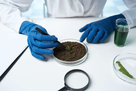 laboratory blue gloves chemical solution research biotechnology