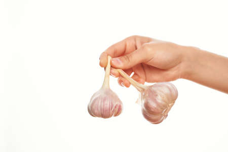 garlic in the hands of cooking ingredients in the kitchenの写真素材